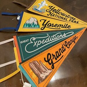 4 Pack - Embodied National park Pennants NWT